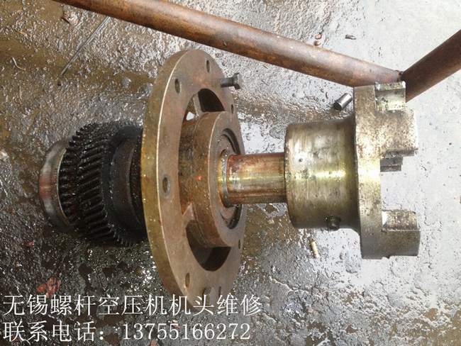 ՉC(j)ǻC(j)C(j)׳ʬF(xin)ë֮һ